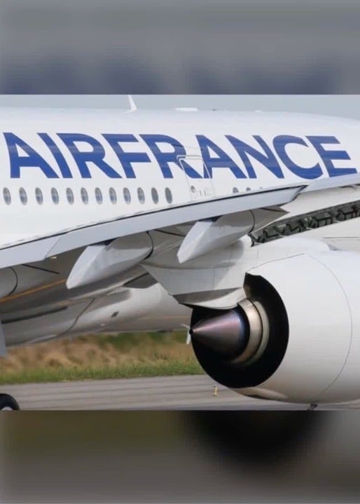 Air France : des arbres pour compenser le CO2