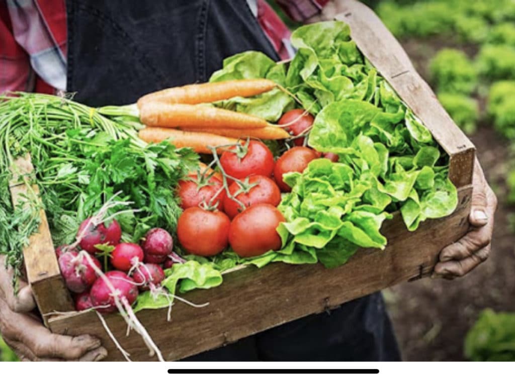 fermeture des marché la Métropole veut permettre aux producteurs d'écouler leurs produits frais