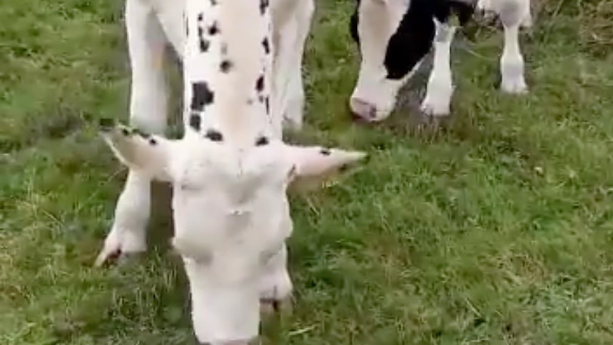 Sécheresse : le ministère aide les agriculteurs