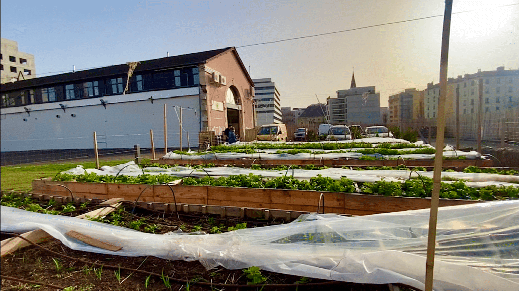 Micro-ferme urbaine Halle des Girondins