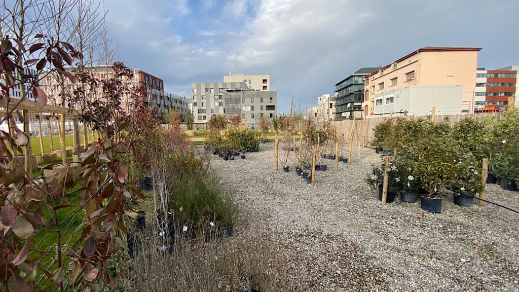 une seconde vie aux plantes