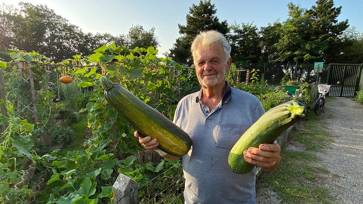 Renaud Ott et deux courgettes