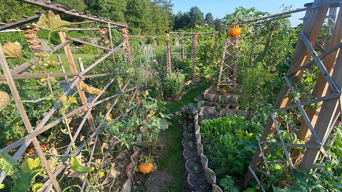 jardin de Renaud Ott