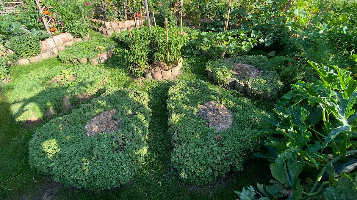 Jardin mandala