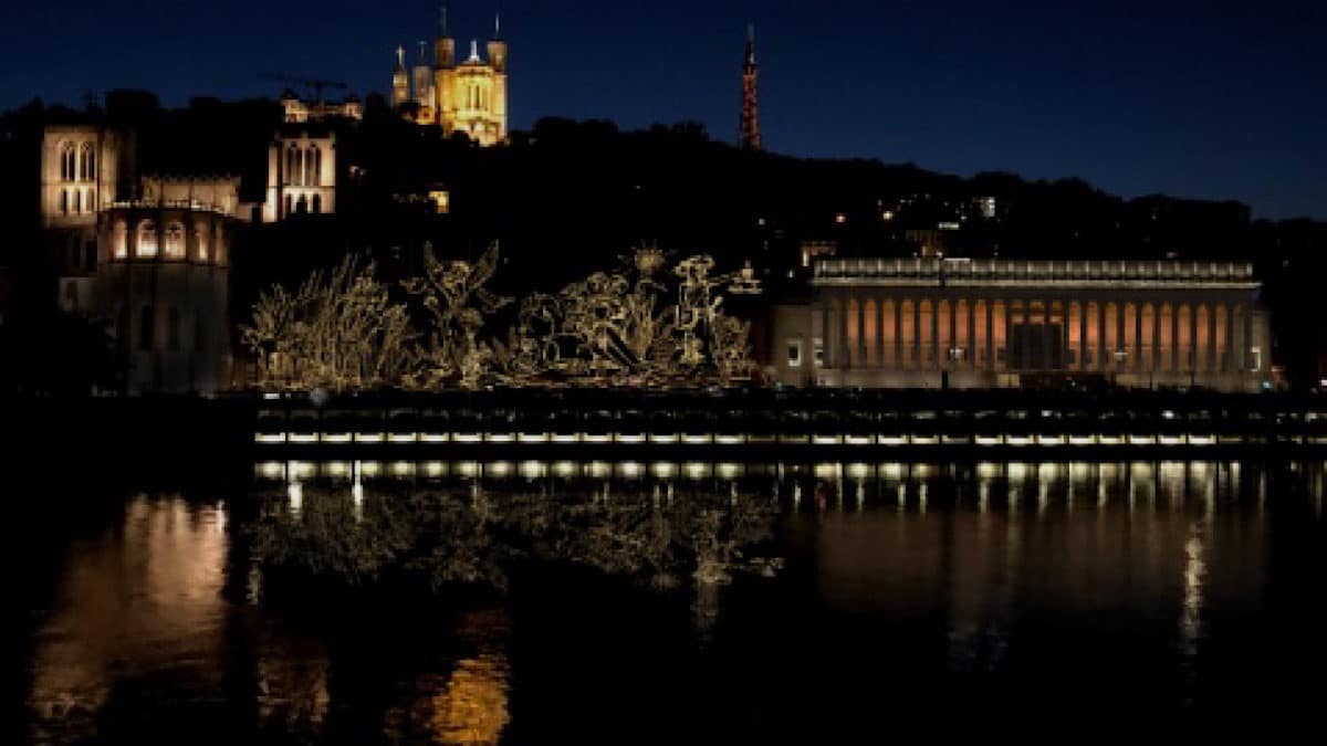 Quai de Saône