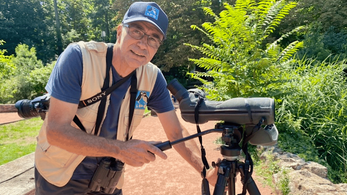 Observer la nature en pleine ville