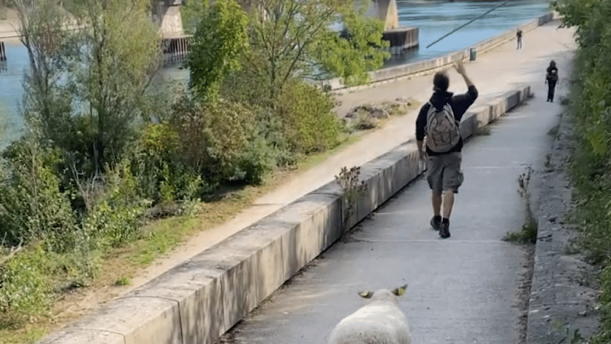 Bergerie Urbaine transhumance