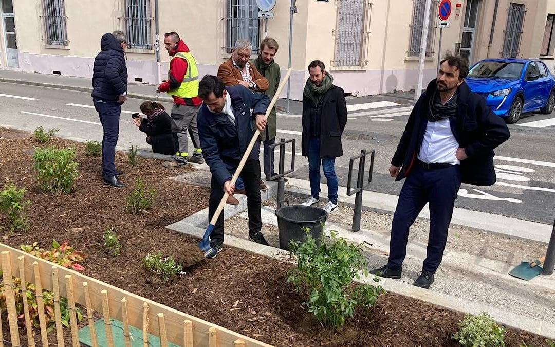 Végétalisation : Lyon vise 100 000 arbres plantés d’ici 2030