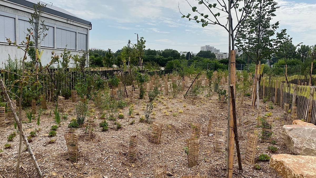 forêt urbaine