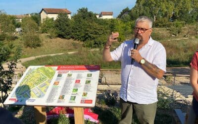 Arboretum de Sathonay-Camp : le musée vivant des arbres